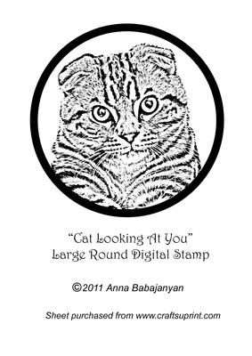 Cat Looking at You Large Round Digital Stamp