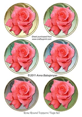 Rose Round Toppers/ Tags Set