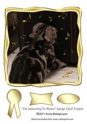 Cat Listening to Music Large Card Topper