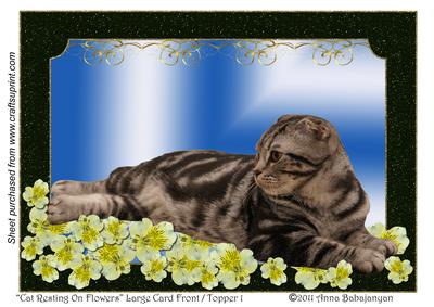 Cat Resting on Flowers Large Card Front / Topper 1