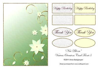 New Bloom Various Occasions Card Front 5