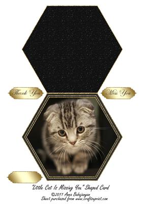 Little Cat is Missing You Shaped Card