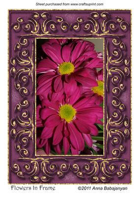 Flowers in Frame