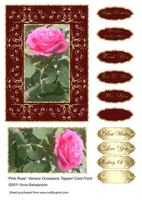 Pink Rose Various Occasions Topper/ Card Front