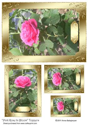 Pink Rose in Bloom Toppers