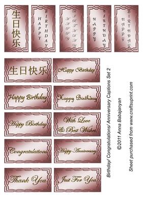 Birthday/ Congratulations/ Anniversary Captions Set 2