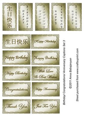 Birthday/ Congratulations/ Anniversary Captions Set 3