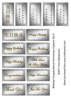 Birthday/ Congratulations/ Anniversary Captions Set 5