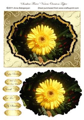Sunshine Flower Various Occasions Topper
