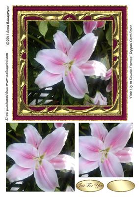 Pink Lily in Double Frames Topper/ Card Front