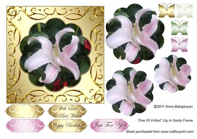 One of a Kind Lily in Swirly Frame
