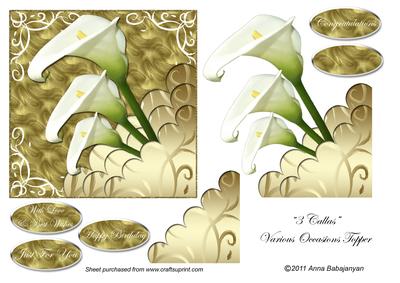 3 Callas Various Occasions Topper