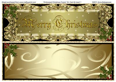 Embossed Christmas Frame Dl Card & Insert 1
