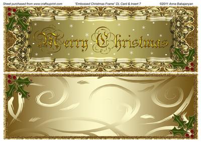 Embossed Christmas Frame Dl Card & Insert 7