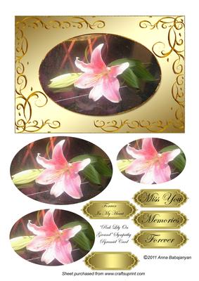 Pink Lily on Ground Sympathy Pyramid Card