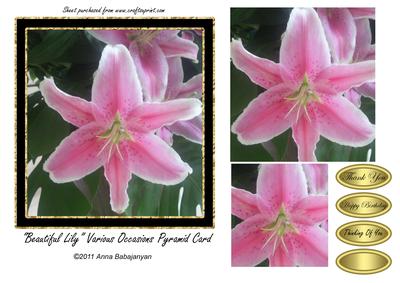 Beautiful Lily Various Occasions Pyramid Card