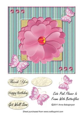 Cute Pink Flower in Frame with Butterflies