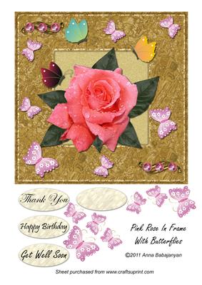 Pink Rose in Frame with Butterflies