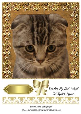 You Are My Best Friend Cat Square Topper