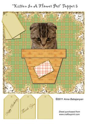 Kitten in a Flower Pot Topper 5