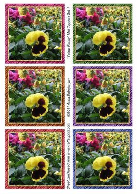 Yellow Pansy Mini Toppers Set 1