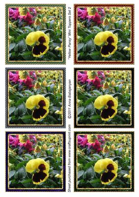 Yellow Pansy Mini Toppers Set 2
