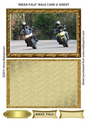 Biker Pals Male Card & Insert