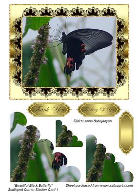 Beautiful Black Butterfly Scalloped Corner Stacker Card 1