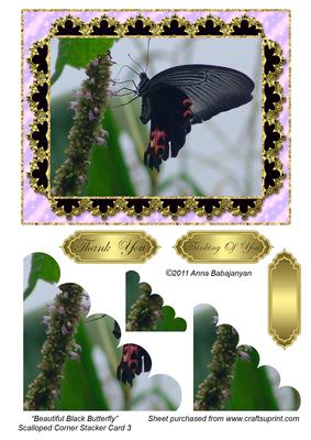 Beautiful Black Butterfly Scalloped Corner Stacker Card 3