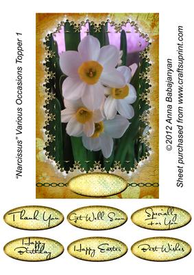 Narcissus Various Occasions Topper 1