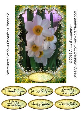 Narcissus Various Occasions Topper 2