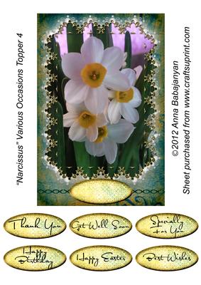 Narcissus Various Occasions Topper 4