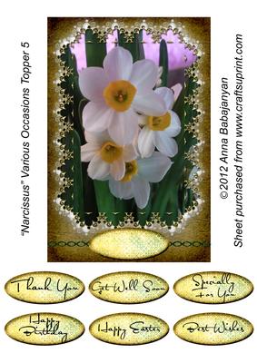 Narcissus Various Occasions Topper 5
