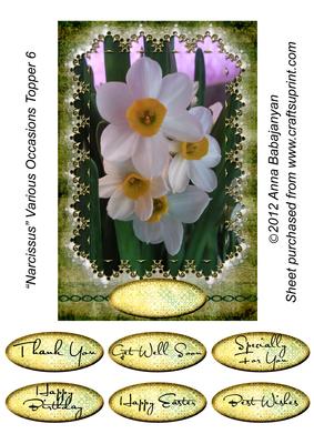 Narcissus Various Occasions Topper 6