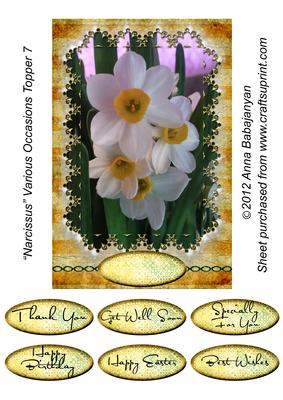Narcissus Various Occasions Topper 7