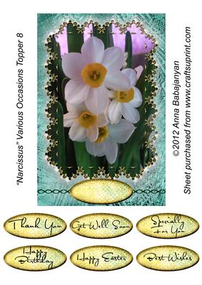 Narcissus Various Occasions Topper 8
