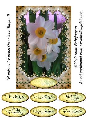 Narcissus Various Occasions Topper 9