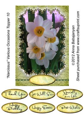 Narcissus Various Occasions Topper 10