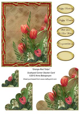 Orange-red Tulips Scalloped Corner Stacker Card