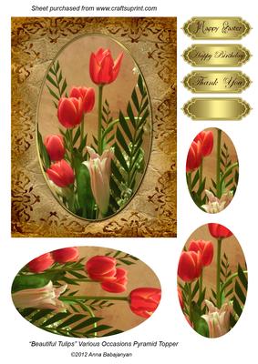 Beautiful Tulips Various Occasions Pyramid Topper