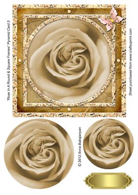 Rose in a Round & Square Frames Pyramid Card 3
