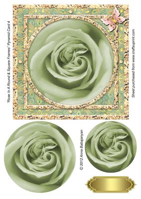 Rose in a Round & Square Frames Pyramid Card 4