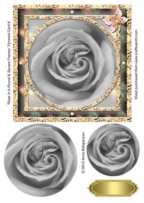 Rose in a Round & Square Frames Pyramid Card 6