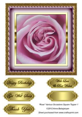 Rose Various Occasions Square Topper 1