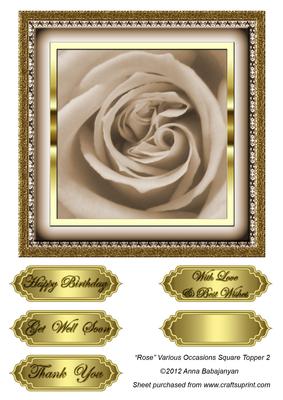 Rose Various Occasions Square Topper 2