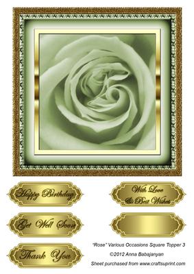 Rose Various Occasions Square Topper 3