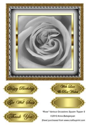 Rose Various Occasions Square Topper 5