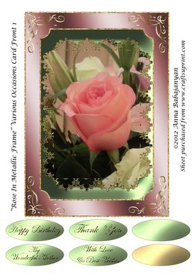 Rose in Metallic Frame Various Occasions Card Front 1