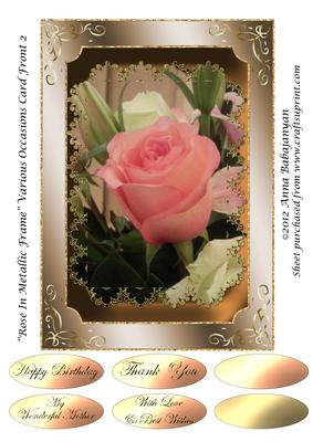 Rose in Metallic Frame Various Occasions Card Front 2