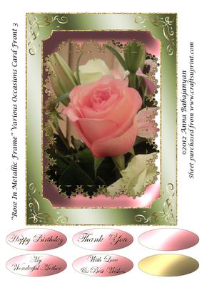 Rose in Metallic Frame Various Occasions Card Front 3